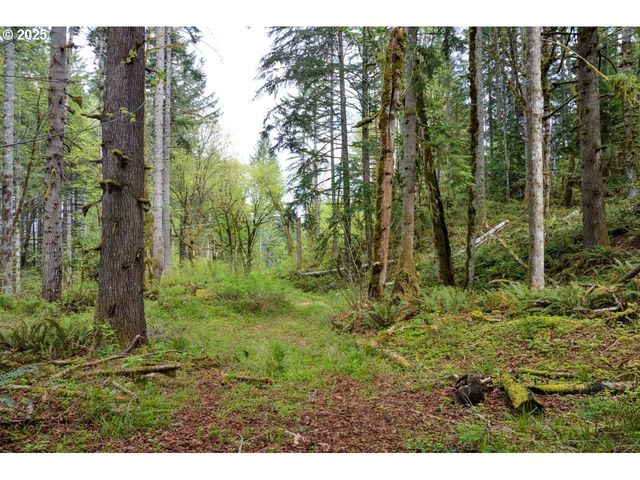 38220 BOSCAGE Ln, Springfield, OR 97477