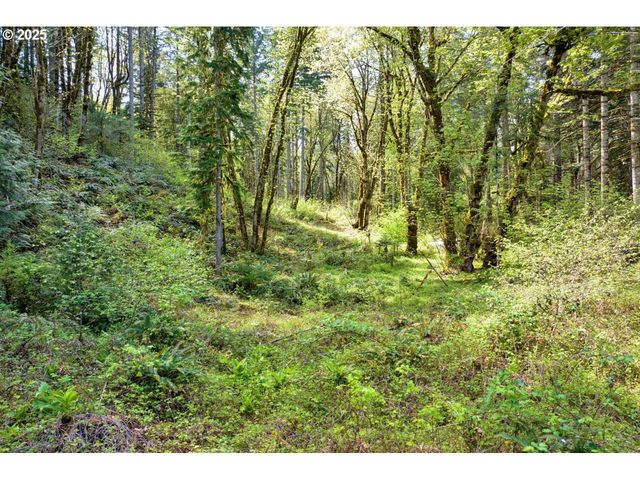 38220 BOSCAGE Ln, Springfield, OR 97477