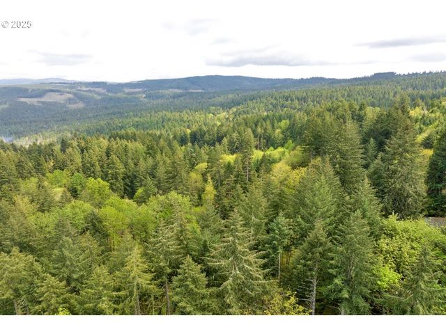 38220 BOSCAGE Ln, Springfield, OR 97477