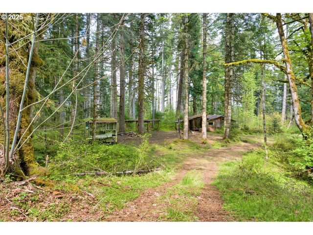 38220 BOSCAGE Ln, Springfield, OR 97477