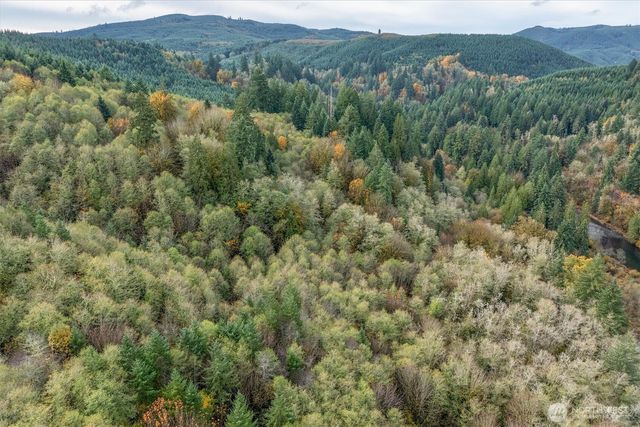 175 Wooden Bridge Road, Kalama, WA 98625