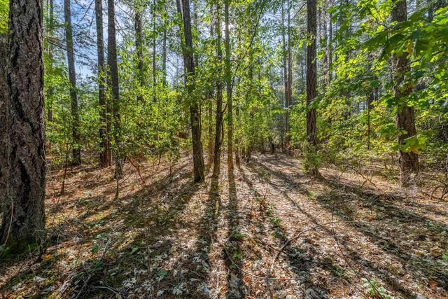 305 Floyd Lane, Cave Junction, OR 97523