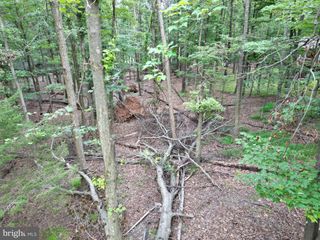 494 CAYUGA TRL, Hedgesville, WV 25427