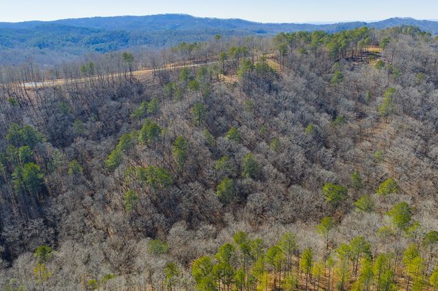 Lot 285 Anglers Ridge Road, Talking Rock, GA 30175