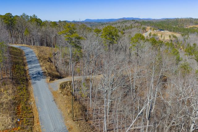 Lot 285 Anglers Ridge Road, Talking Rock, GA 30175