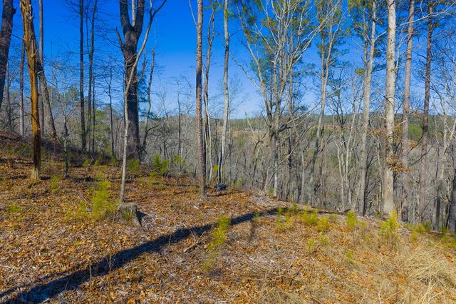 Lot 285 Anglers Ridge Road, Talking Rock, GA 30175