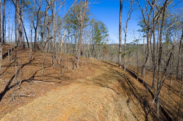 Lot 285 Anglers Ridge Road, Talking Rock, GA 30175