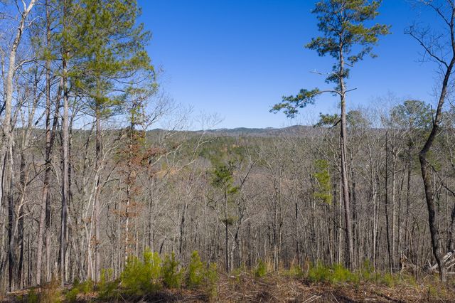 Lot 285 Anglers Ridge Road, Talking Rock, GA 30175
