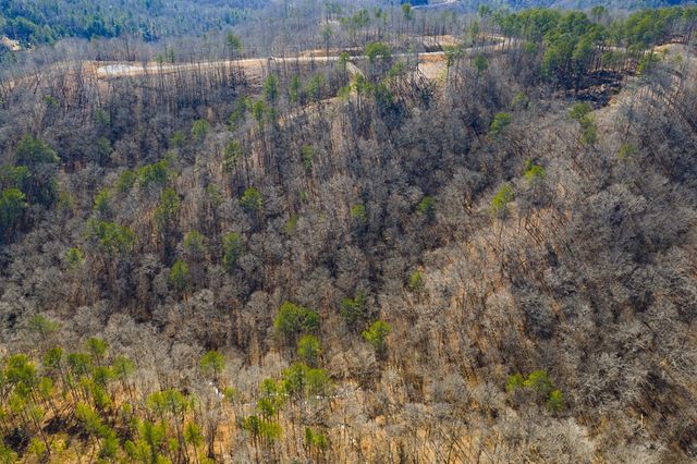 Lot 285 Anglers Ridge Road, Talking Rock, GA 30175