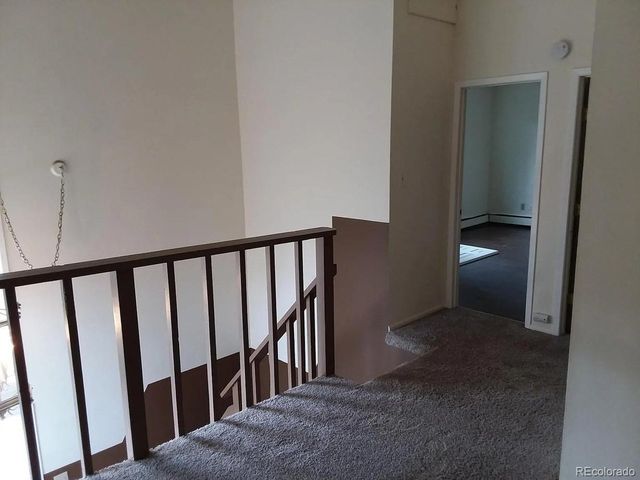 3371 Russell Gulch Rd, Evergreen, CO 80439