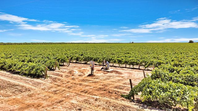 11388 S Chateau Fresno Avenue, Caruthers, CA 93609