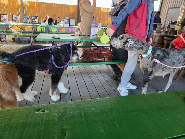 2233 Lou Ellen Lane, Houston, TX 77018