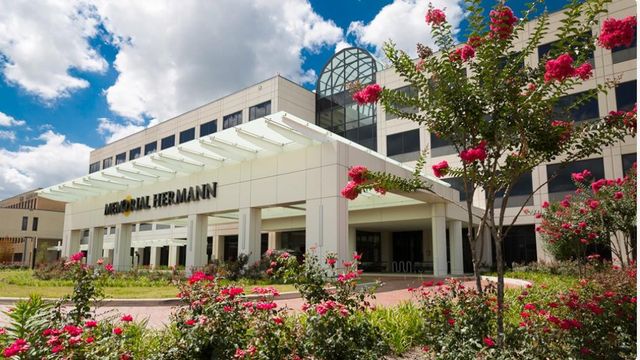 2233 Lou Ellen Lane, Houston, TX 77018