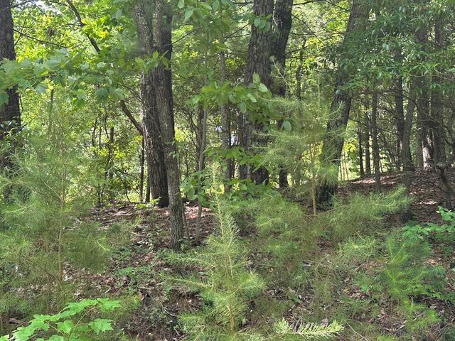 Lot 31 Peak Trail, Murphy, NC 28906