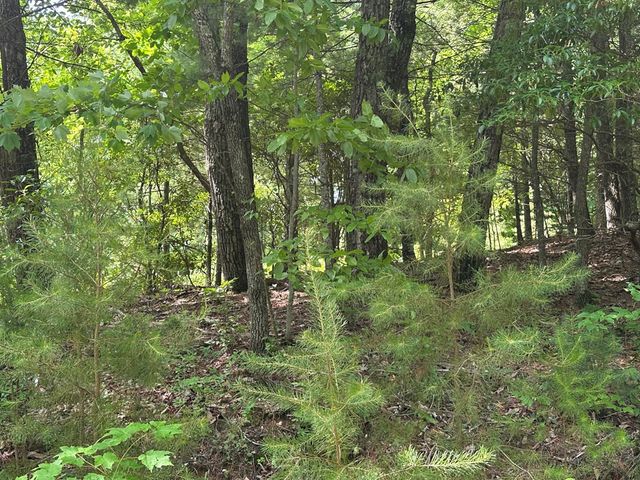 Lot 31 Peak Trail, Murphy, NC 28906