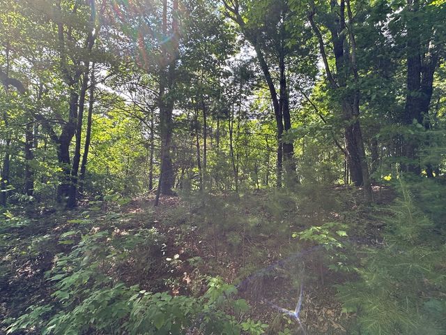 Lot 31 Peak Trail, Murphy, NC 28906