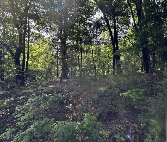Lot 31 Peak Trail, Murphy, NC 28906