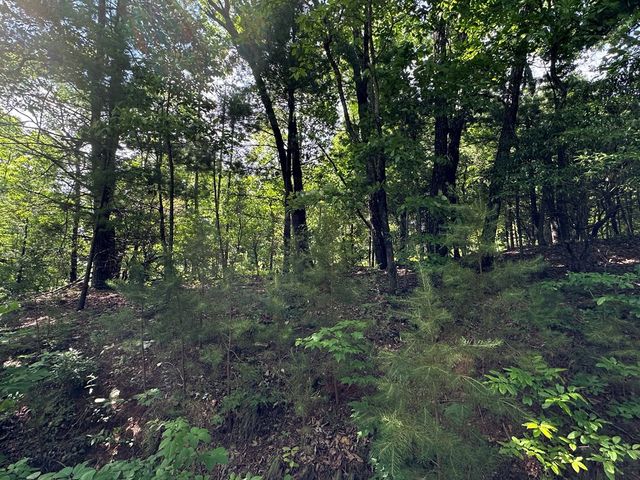 Lot 31 Peak Trail, Murphy, NC 28906