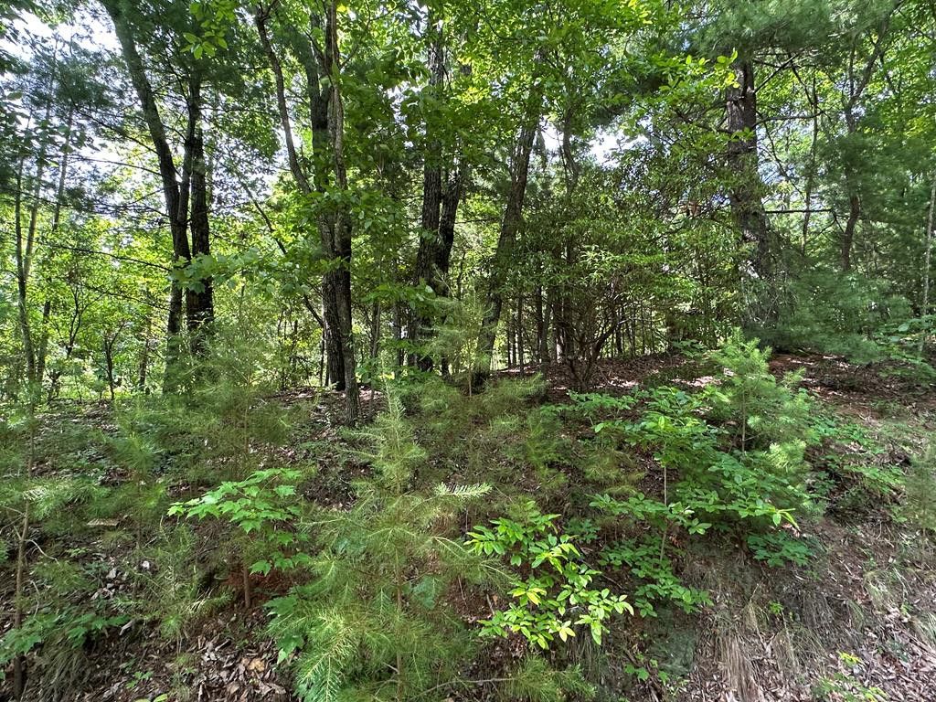 Lot 31 Peak Trail, Murphy, NC 28906