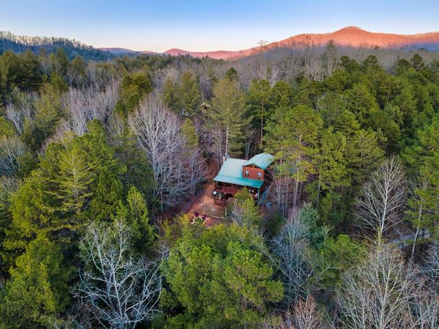 239 Ernest Alta Circle, Blue Ridge, GA 30513