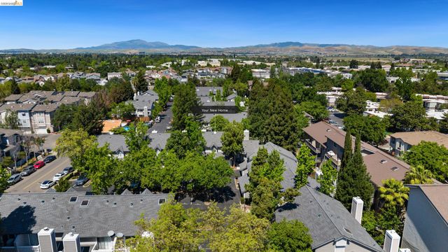 226 Birch Creek Dr, Pleasanton, CA 94566