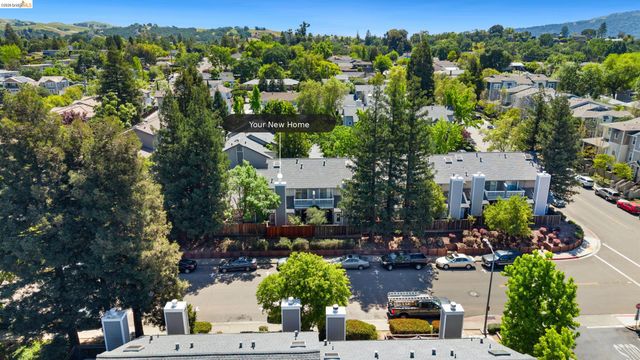 226 Birch Creek Dr, Pleasanton, CA 94566