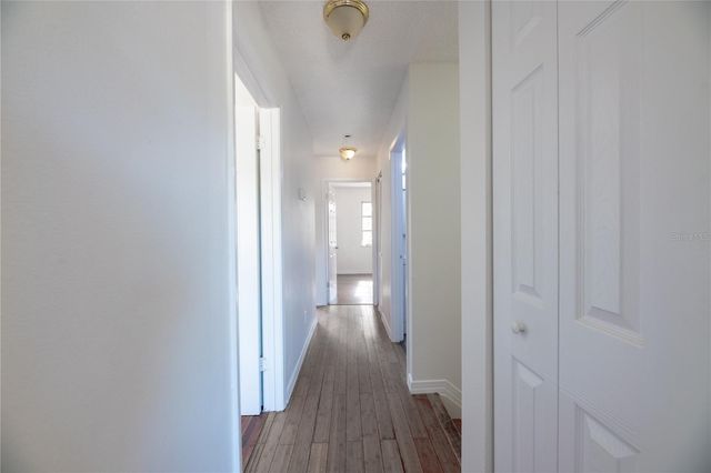 244 AMHERST AVENUE 16, Sarasota, FL 34232