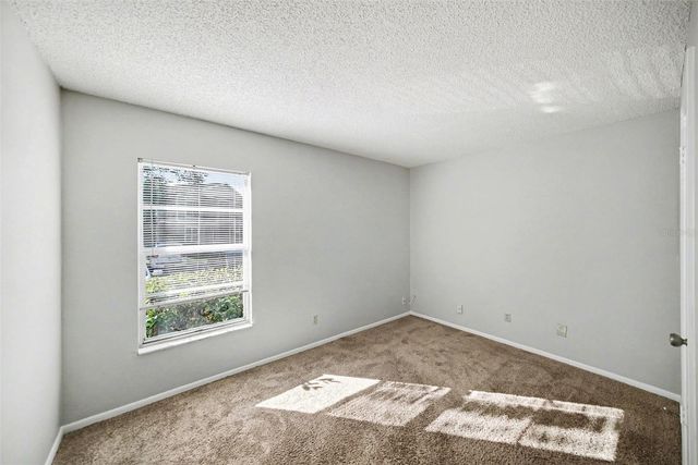 14312 HANGING MOSS CIRCLE 101, Tampa, FL 33613