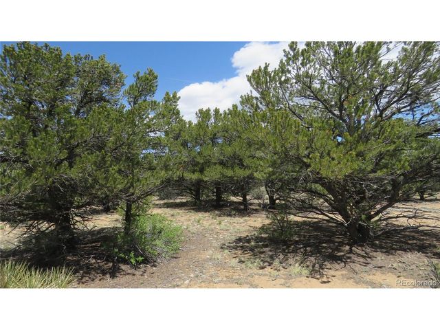 29266 Timber Ridge, Buena Vista, CO 81211