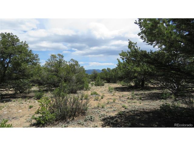 29266 Timber Ridge, Buena Vista, CO 81211