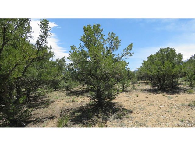 29266 Timber Ridge, Buena Vista, CO 81211