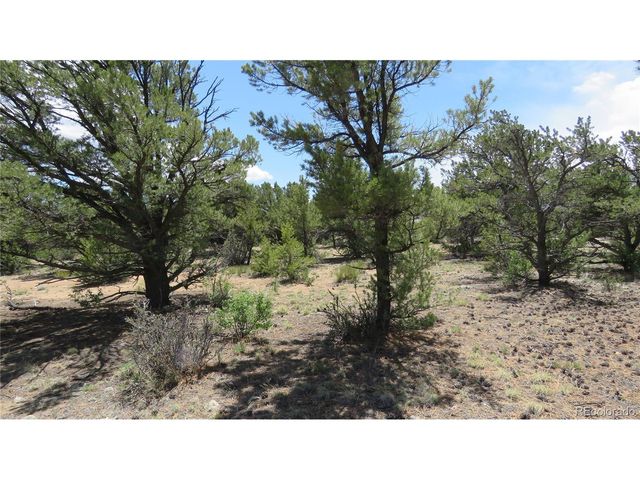 29266 Timber Ridge, Buena Vista, CO 81211