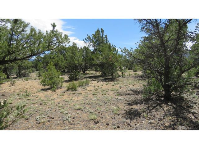 29266 Timber Ridge, Buena Vista, CO 81211