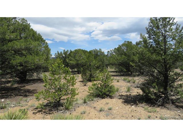29266 Timber Ridge, Buena Vista, CO 81211