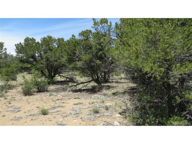 29266 Timber Ridge, Buena Vista, CO 81211