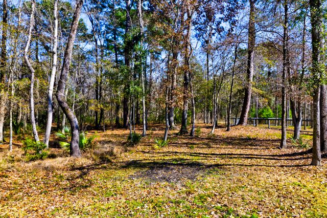 2950 Murray Wood Road, Johns Island, SC 29455