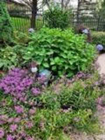 N6061 Summerglow TRAIL, Onalaska, WI 54650