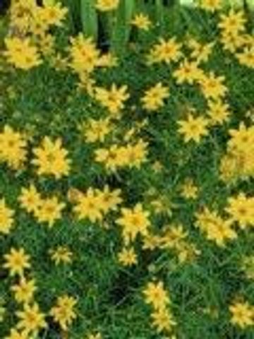 N6061 Summerglow TRAIL, Onalaska, WI 54650