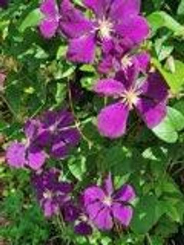 N6061 Summerglow TRAIL, Onalaska, WI 54650