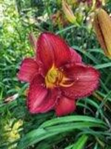 N6061 Summerglow TRAIL, Onalaska, WI 54650