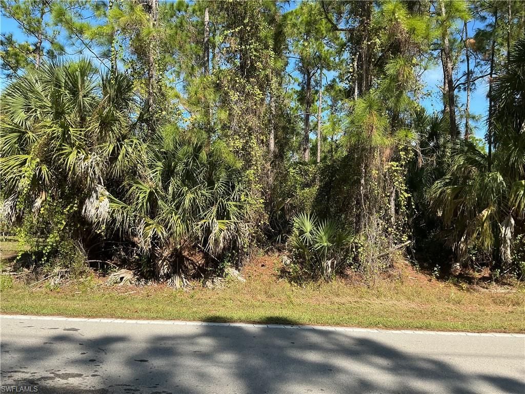 18th AVE NE, NAPLES, FL 34120 — photo 2