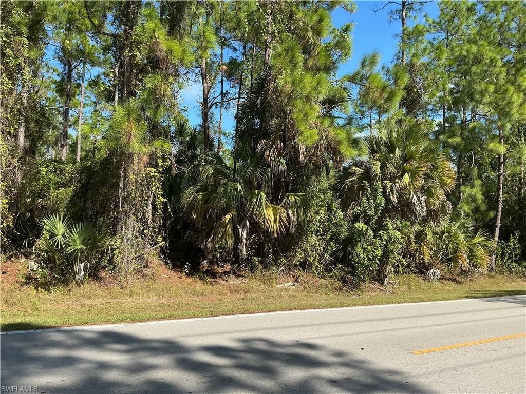 18th AVE NE, NAPLES, FL 34120 — photo 5