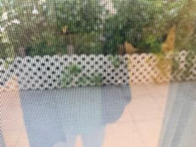 7473 Champagne Place, Boca Raton, FL 33433