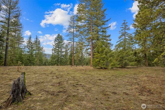 20 Wanawish Loop, Cle Elum, WA 98922