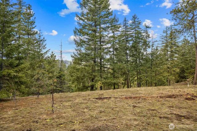 20 Wanawish Loop, Cle Elum, WA 98922