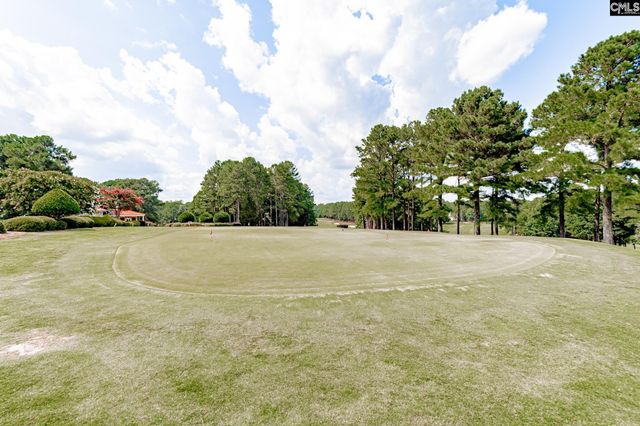 209 High Pointe Drive, Blythewood, SC 29016