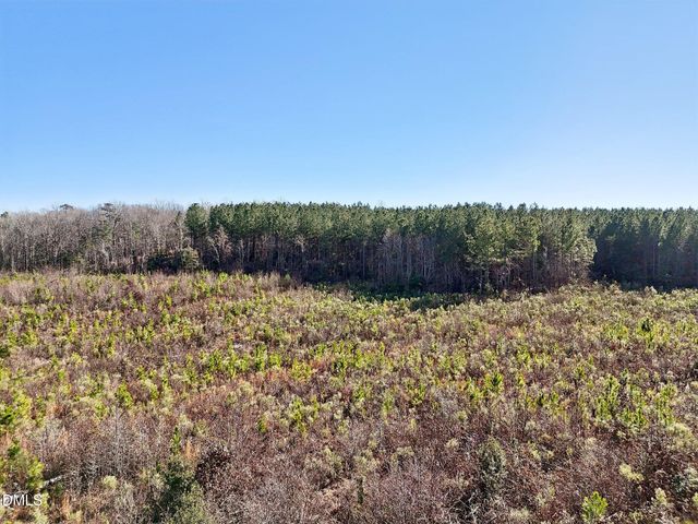 0 Dewitt Smith Road, Pittsboro, NC 27312