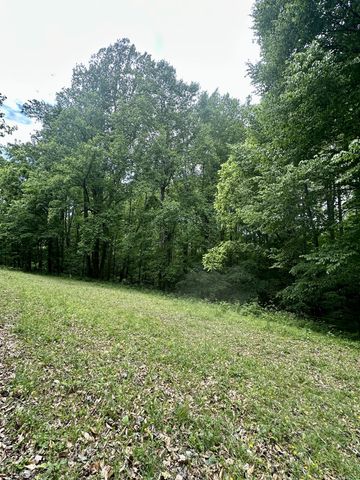 0 Hall Rd, Greenbrier, TN 37073