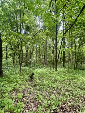 0 Hall Rd, Greenbrier, TN 37073