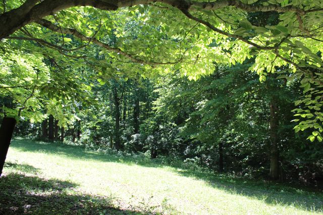 0 Hall Rd, Greenbrier, TN 37073